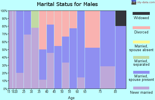 Zip code 45808 marital status for males