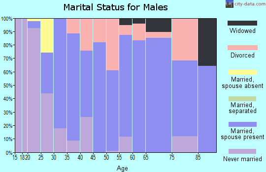 Zip code 45810 marital status for males