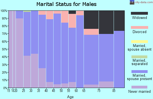 Zip code 45813 marital status for males