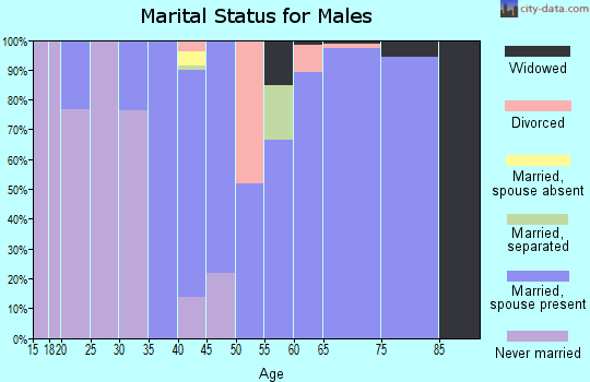 Zip code 45821 marital status for males
