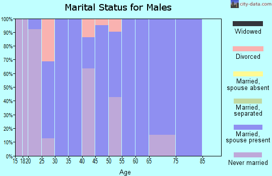 Zip code 45841 marital status for males