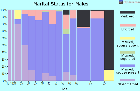 Zip code 45850 marital status for males