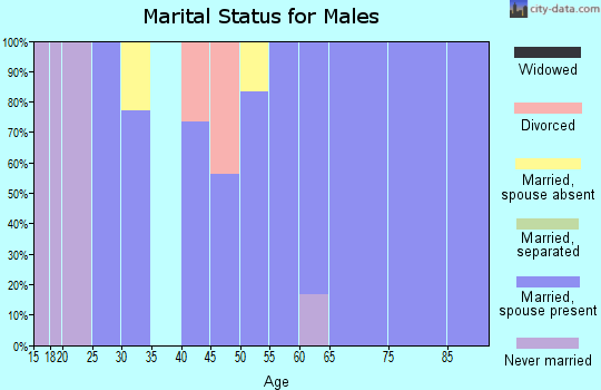 Zip code 45851 marital status for males
