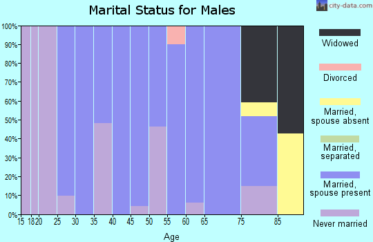 Zip code 45853 marital status for males