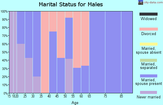 Zip code 45855 marital status for males