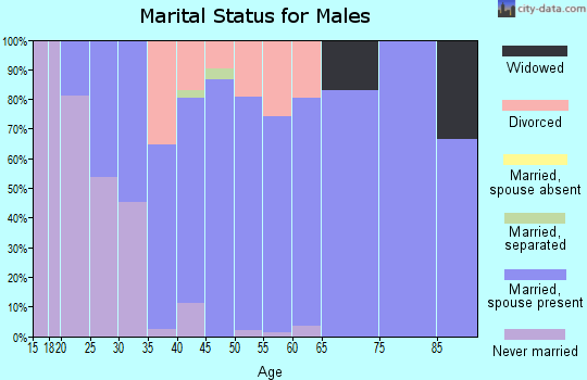 Zip code 45858 marital status for males