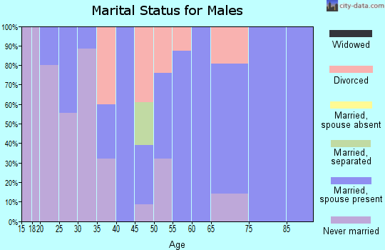 Zip code 45859 marital status for males
