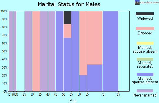 Zip code 45861 marital status for males