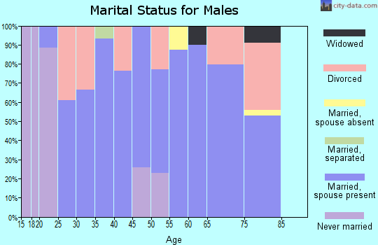 Zip code 45863 marital status for males