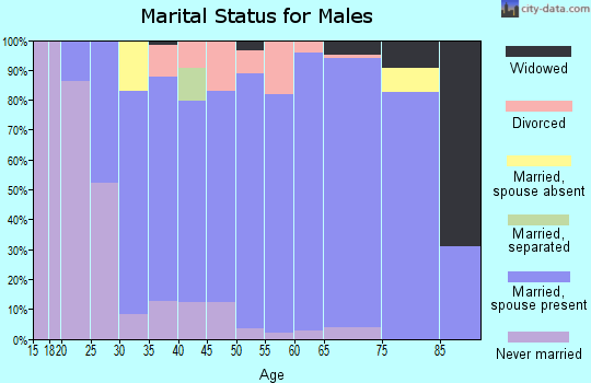 Zip code 45865 marital status for males