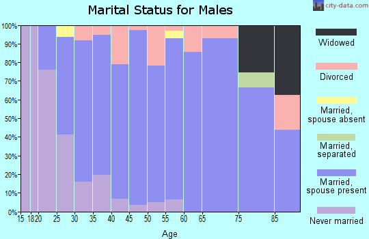 Zip code 45869 marital status for males