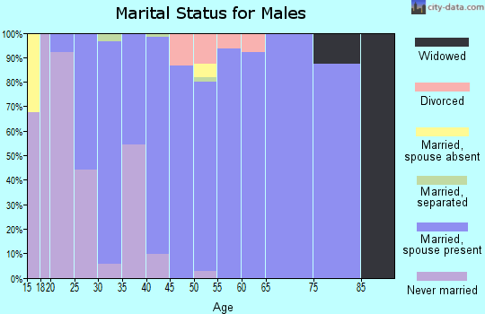 Zip code 45874 marital status for males