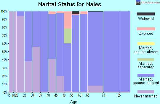 Zip code 45881 marital status for males