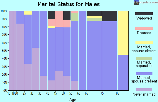 Zip code 45882 marital status for males