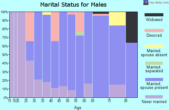Zip code 45883 marital status for males