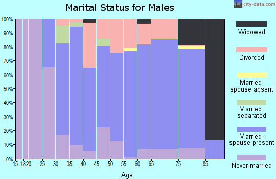 Zip code 45885 marital status for males