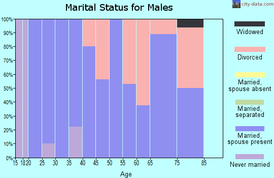 Zip code 45886 marital status for males