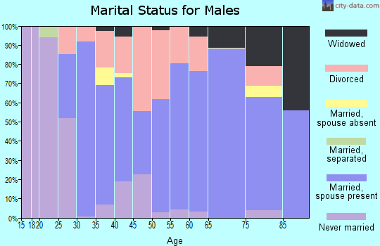 Zip code 46001 marital status for males