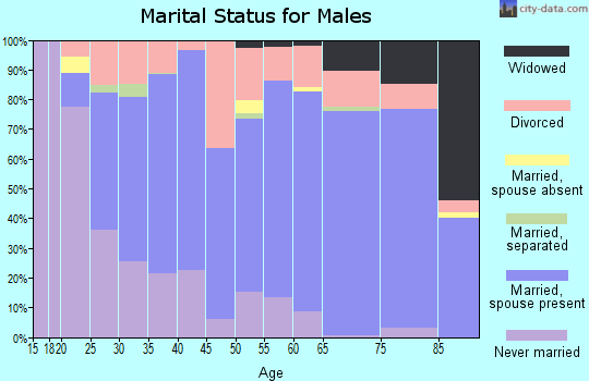 Zip code 46011 marital status for males