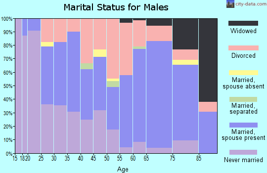 Zip code 46013 marital status for males
