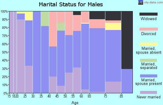 Zip code 46017 marital status for males