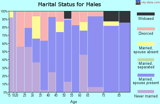 Zip code 46030 marital status for males