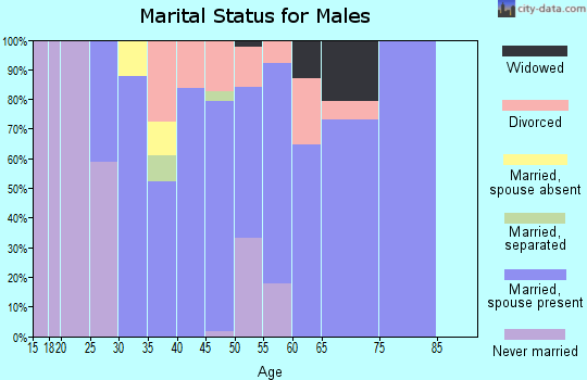 Zip code 46031 marital status for males