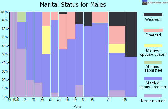 Zip code 46034 marital status for males