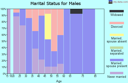 Zip code 46035 marital status for males