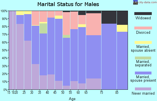 Zip code 46036 marital status for males