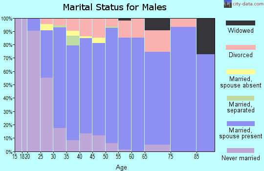 Zip code 46038 marital status for males