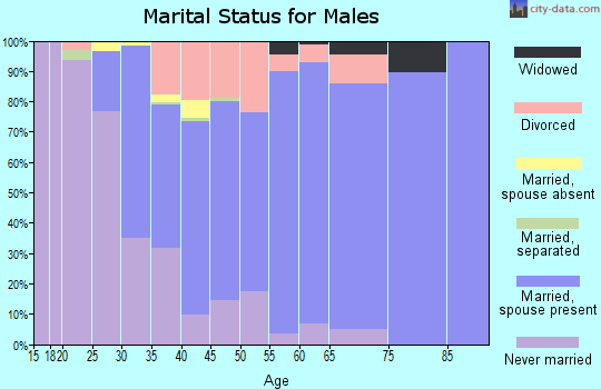 Zip code 46040 marital status for males
