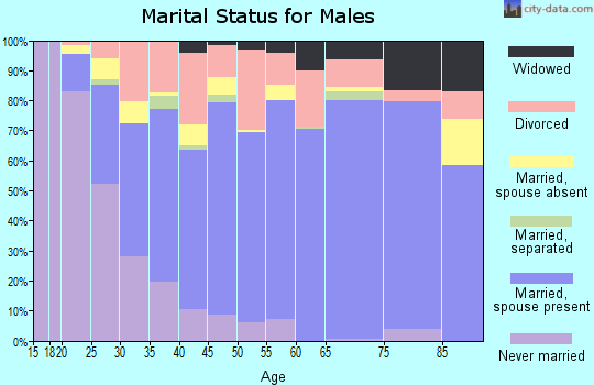 Zip code 46041 marital status for males