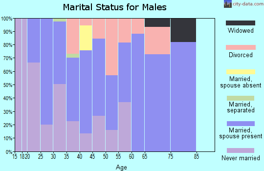Zip code 46048 marital status for males