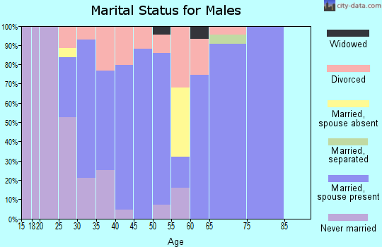 Zip code 46050 marital status for males
