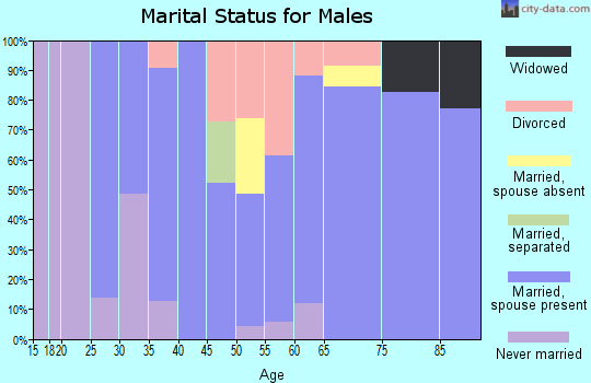 Zip code 46051 marital status for males