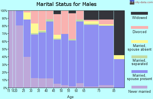 Zip code 46052 marital status for males