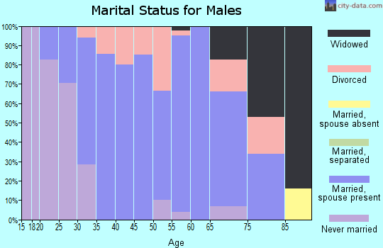 Zip code 46058 marital status for males