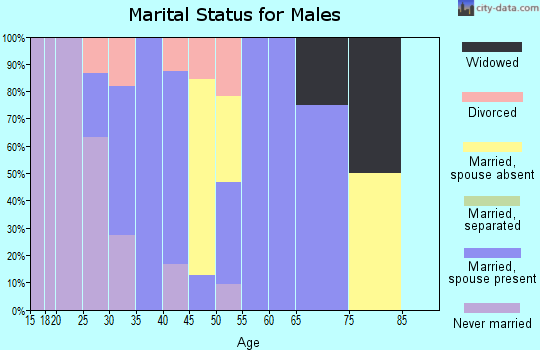 Zip code 46063 marital status for males