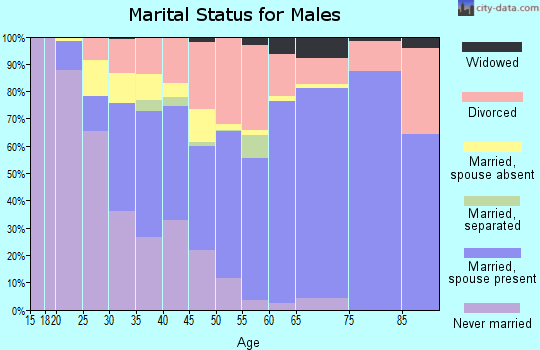 Zip code 46064 marital status for males