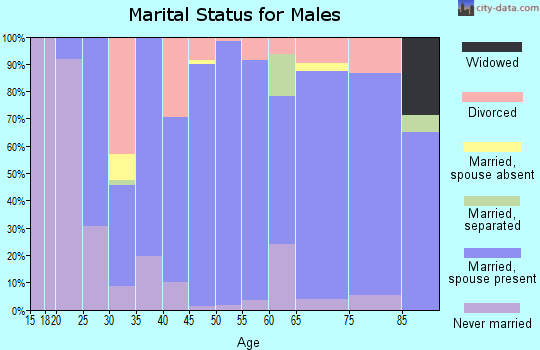 Zip code 46065 marital status for males