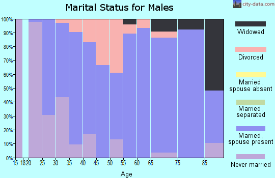 Zip code 46070 marital status for males