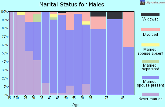 Zip code 46071 marital status for males