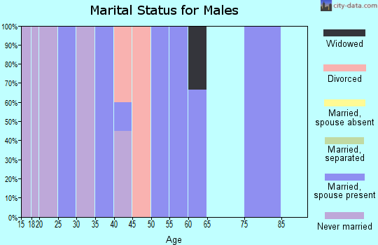 Zip code 46103 marital status for males