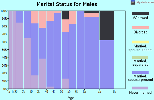 Zip code 46105 marital status for males