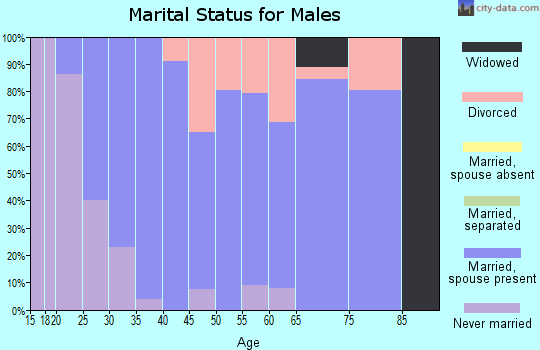 Zip code 46106 marital status for males