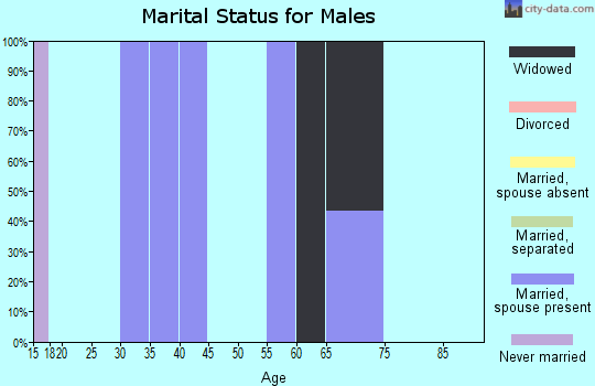 Zip code 46110 marital status for males