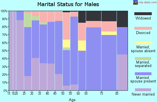 Zip code 46120 marital status for males