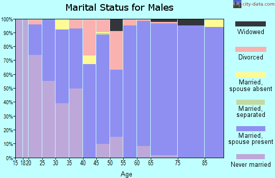 Zip code 46121 marital status for males