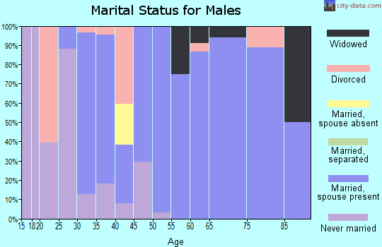 Zip code 46128 marital status for males